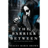 The Barrier Between