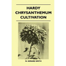 Hardy Chrysanthemum Cultivation