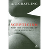 Scepticism and the Possibility of Knowledge