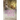 The World Starts Anew