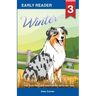 Winter the Australian Shepherd with no tail