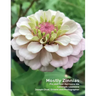 Mostly Zinnias: Flower Photos Pre and Post Hurricane Ida