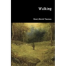 Walking
