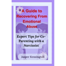 A Guide to Recovering From Emotional Abuse: Expert Tips for Co-Parenting with a Narcissist