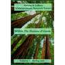 Society & Culture Undergraduate Research Forum 2015 Journal Within the Shadow of Giants