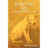 Beautiful Joe