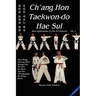 Ch'ang Hon Taekwon-Do Hae Sul: Real Applications to the ITF Patterns: Vol 2