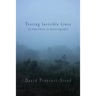 Tracing Invisible Lines: An Experiment in Mystoriography