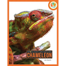 Chameleon