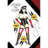 Venus In Furs