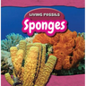 Sponges
