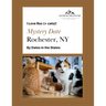 Mystery Date Rochester NY: I Love Roc + Cats