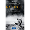 Gallipoli (Large Print Edition)