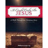 It Could Only Be Jesus: A Walk Through the Christmas Story and Prophecy Fulfilled.