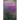 Bonememory