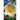 Syntropy: The Spirit of Love
