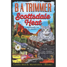 Scottsdale Heat: a fun, romantic, thrilling, adventure...