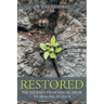 Restored: The Journey from Sexual Abuse to Healing in Jesus