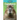 Capybaras
