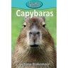 Capybaras
