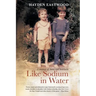 Like Sodium in Water: A memoir of home and heartache