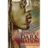 Birth of a Dark Nation