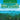 The Amazon Rainforest: One of Earth's Largest Natural Resources Children's Books about Forests Grade 4 Children's Environment & Ecology Books