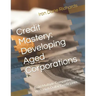 Credit Mastery: Developing Aged Corporations: Build Multiple Companies With High Dollar Credit Lines
