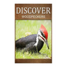 Woodpeckers - Discover: Early reader's wildlife photography book