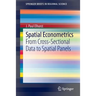 Spatial Econometrics: From Cross-Sectional Data to Spatial Panels