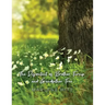 The Discontent of Brother Turnip and Grandfather Tree