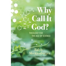 Why Call It God?: Theology for the Age of Science