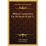 Biblical Commentary on the Book of Job V1