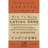 How to Keep Laying Hens and to Rear Chickens