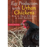 Egg Production with Urban Chickens: How to Raise Chickens in Your Backyard