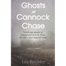 Ghosts of Cannock Chase: Terrifying reports of paranormal activity from the UK's most haunted town