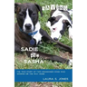 Saving Sadie and Sasha: The true story of two abandoned dogs who showed me the way home.