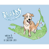 Brandy: A NiSHA Adoption Story