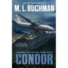 Condor: a political technothriller