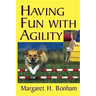 Having Fun with Agility