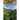 Lime Creek Odyssey