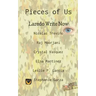 Pieces of Us