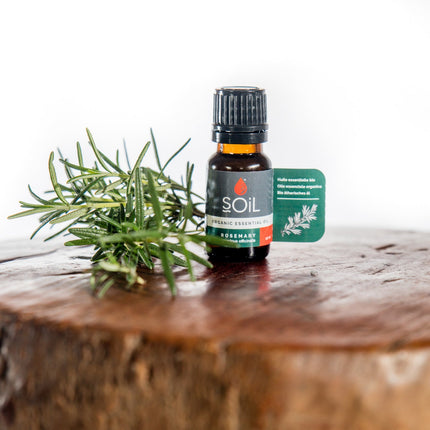 Organic Rosemary Essential Oil (Rosemarinus Officinalis) 10ml by SOiL Organic Aromatherapy and Skincare