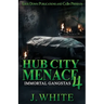 Hub City Menace 4