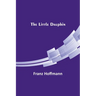 The Little Dauphin