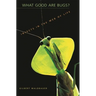 What Good Are Bugs?: Insects in the Web of Life