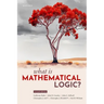 What Is Mathematical Logic?