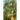 The Other Tree