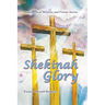 Shekinah Glory: Supernatural Miracles and Visions Stories