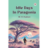 Idle Days In Patagonia